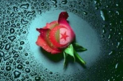 Pour ma ninouille